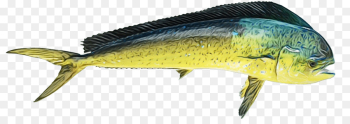 fish fish fish products mahi mahi fish fish fish products mahi mahi