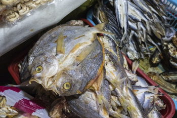 Fish, fresh market in Palawan, | Free Photo - rawpixel Fish, fresh market in Palawan, | Free Photo - rawpixel