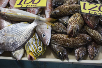 Fish, fresh market in Palawan, | Free Photo - rawpixel Fish, fresh market in Palawan, | Free Photo - rawpixel
