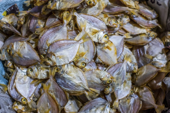 Fish, fresh market in Palawan, | Free Photo - rawpixel Fish, fresh market in Palawan, | Free Photo - rawpixel