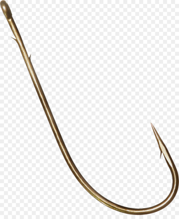 fish hook fishing fish hook fishing