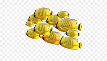 Fish Icon - Marine fish Fish Icon - Marine fish