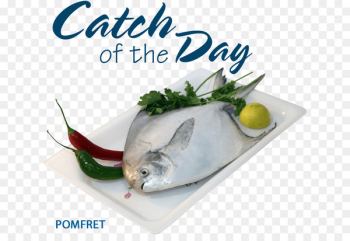 Fish market Seafood restaurant Fish products - fresh seafood Fish market Seafood restaurant Fish products - fresh seafood