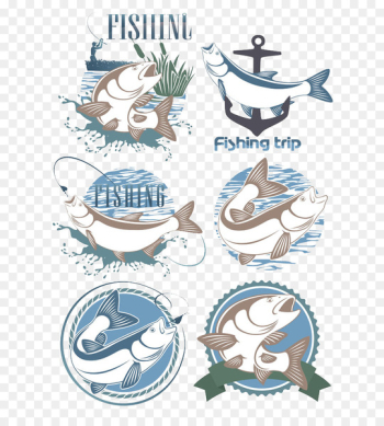 Fish Salmon Trout Illustration - Cartoon fish Fish Salmon Trout Illustration - Cartoon fish