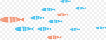 Fish Shoaling and schooling - Shoal of fish Fish Shoaling and schooling - Shoal of fish