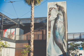 Fish Signboard Fish Signboard