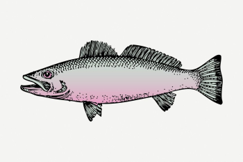 Fish sticker, sea life vintage | Free PSD - rawpixel