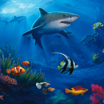 Fish Underwater Desktop Wallpaper Sea Ocean - Aquarium Fish Underwater Desktop Wallpaper Sea Ocean - Aquarium