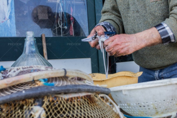 Fisherman Cleaning Seafood Fisherman Cleaning Seafood