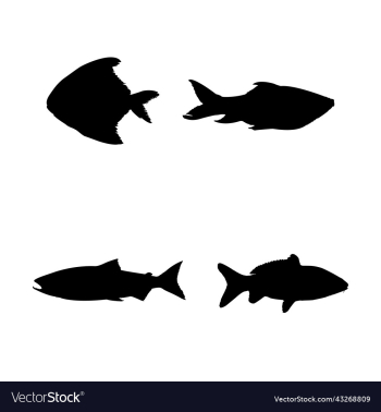 fishes silhouette fishes silhouette