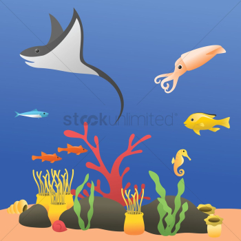 Fishes underwater Fishes underwater