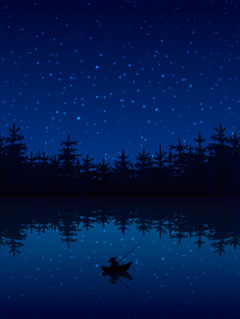 Fishing at night near a forest with boat and rod flat vector illustration Free Vector