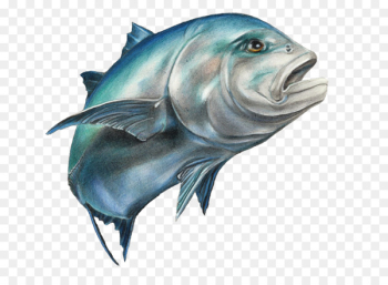 Fishing Giant trevally Carangidae Drawing - fish Fishing Giant trevally Carangidae Drawing - fish