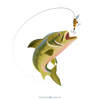 Fishing trout illustration Fishing trout illustration