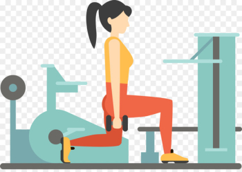 Fitness Centre Euclidean vector Weight training - Vector cartoon woman gym 