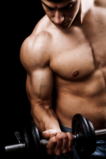 Fitness - powerful muscular man lifting weights