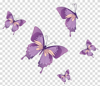 Five purple butterflies , Monarch butterfly , butterfly watercolor transparent background PNG clipart