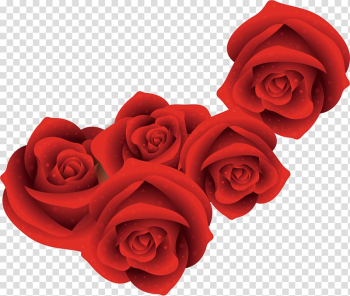 Five red roses illustration, Red Roses transparent background PNG clipart Five red roses illustration, Red Roses transparent background PNG clipart