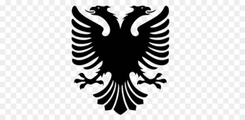 Flag of Albania T-shirt Double-headed eagle Albanian language - Double Headed Eagle 