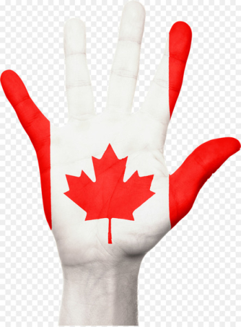 Flag of Canada Maple leaf National flag - Canada 
