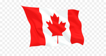 Flag of Canada Maple leaf O Canada - Study In Canada 