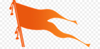 Flag of India Rashtriya Swayamsevak Sangh Flag of India Bharatiya Janata Party - India 