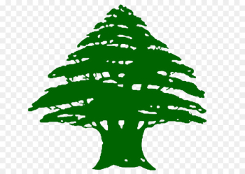 Flag of Lebanon Phoenicia Cedrus libani Mount Lebanon - fir-tree 