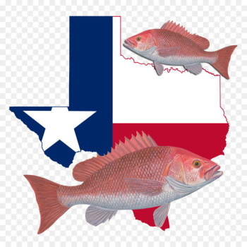 Flag of Texas Blank map Clip art - map Flag of Texas Blank map Clip art - map