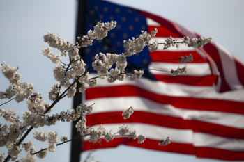 Flag of the USA Flag of the USA