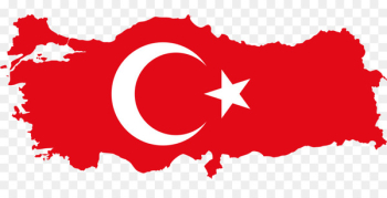Flag of Turkey Turkish constitutional referendum, 2017 - Flag 