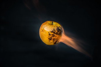 flame apple fruit flame apple fruit