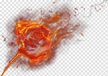 Flame effect transparent background PNG clipart Flame effect transparent background PNG clipart