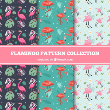 Flamenco summer pattern Flamenco summer pattern
