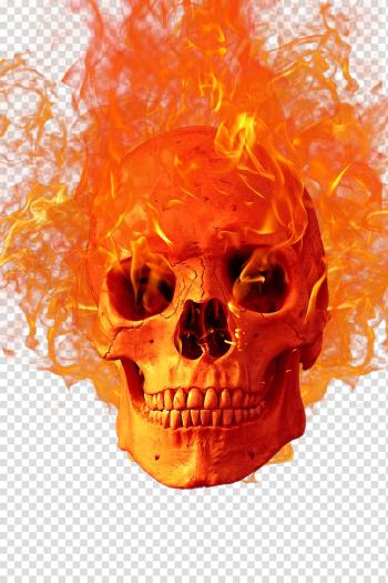 Flaming skull illustration, Flame Fire Icon, Halloween Skull transparent background PNG clipart