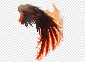 flaming wing illustration, Wings of Fire Computer Icons, wings, dragon, orange, wings png