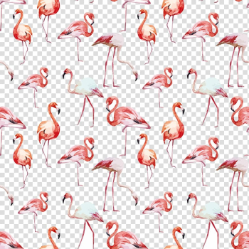 Flamingo artwork, Flamingo Bird , Watercolor seamless background flamingo transparent background PNG clipart