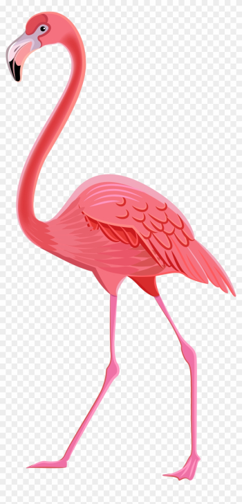 Flamingo Clipart - Flamingo Clipart Png Flamingo Clipart - Flamingo Clipart Png