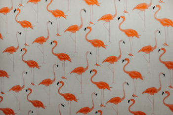 Flamingo Decal Flamingo Decal
