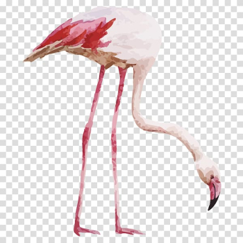 Flamingo Drawing Watercolor painting, flamingo transparent background PNG clipart