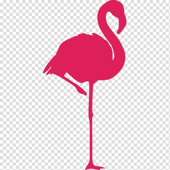 Flamingo , Greater flamingo Bird American flamingo Sticker, flamingos transparent background PNG clipart