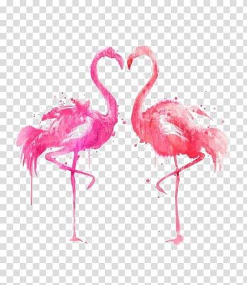 Flamingo illustration, Drawing Bird Ink Illustration, Ink flamingos transparent background PNG clipart