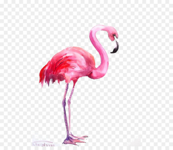 Flamingo Watercolor painting - Flamingos 