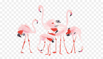 Flamingos Bird - Cartoon Flamingo Flamingos Bird - Cartoon Flamingo