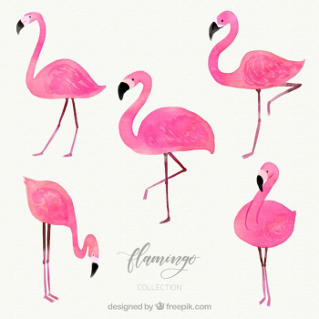 Flamingos collection with different postures in watercolor style