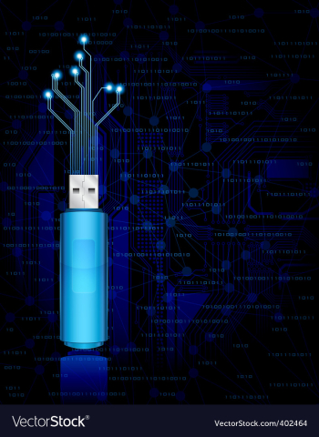 Flash vector image Flash vector image