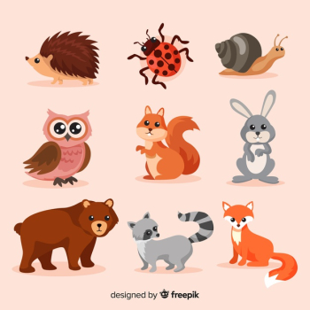 Flat autumn forest animal collection Free Vector Flat autumn forest animal collection Free Vector