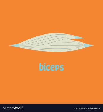 Flat biceps triceps - movement of the arm and vector image Flat biceps triceps - movement of the arm and vector image