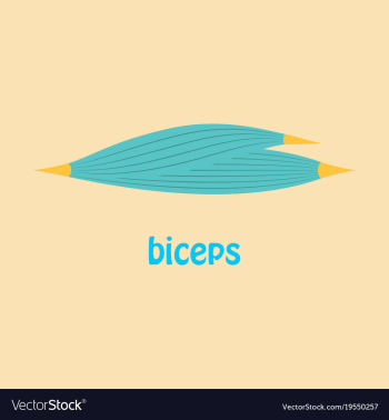 Flat biceps triceps - movement of the arm and vector image Flat biceps triceps - movement of the arm and vector image