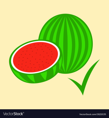 Flat fresh and juicy whole watermelons and slices vector image