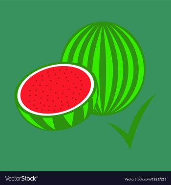 Flat fresh and juicy whole watermelons and slices vector image